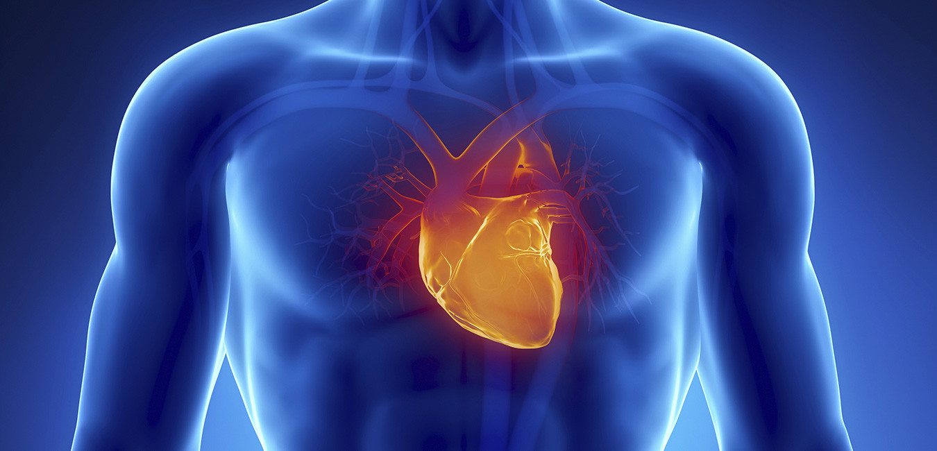 Inflammation Testing Could Prevent 10% of Heart Attacks ...
