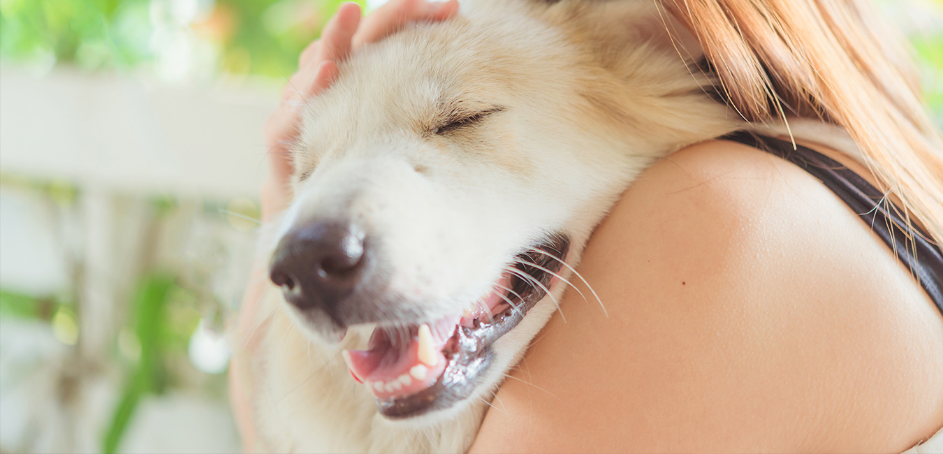 Do Pets Help Your Heart? Cleveland HeartLab, Inc.